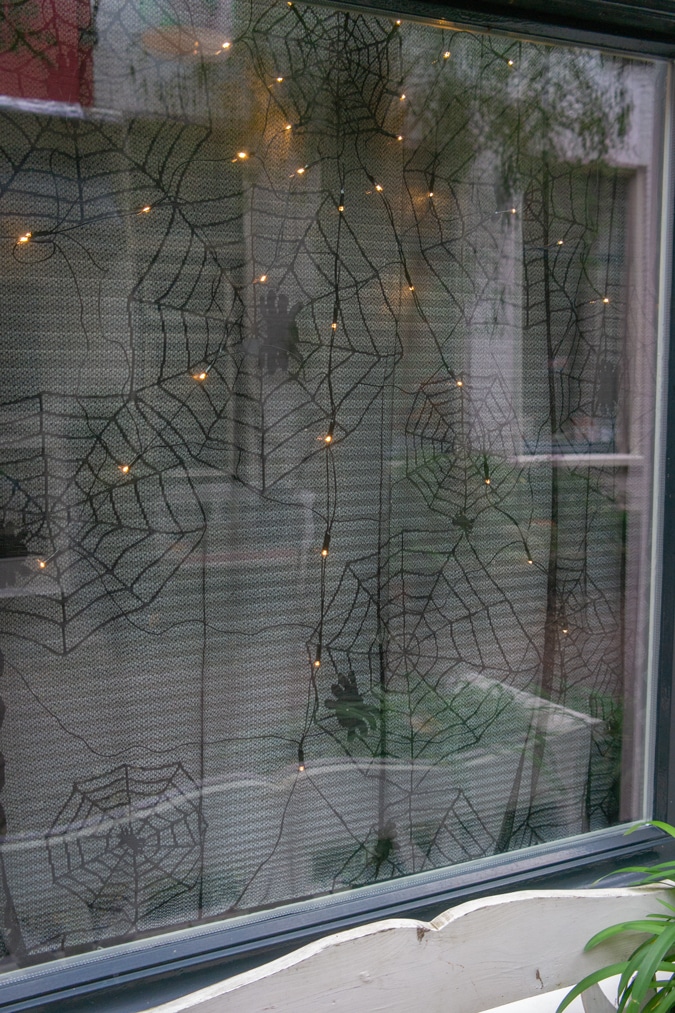 Street in Haarlem spider web