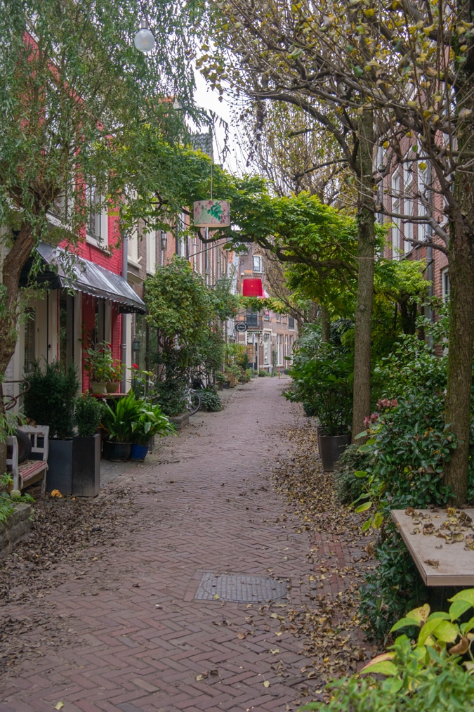 Street in Haarlem