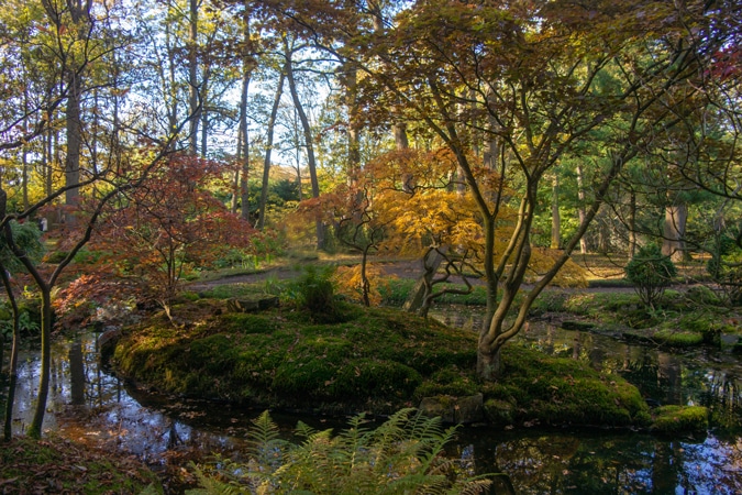 Japanese garden in The Hague
