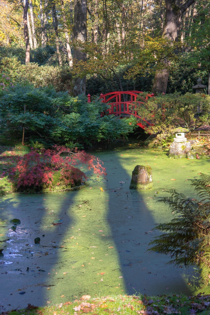 Japanese garden in The Hague