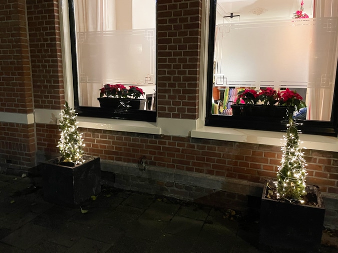 Our windowsills and plant pots outside