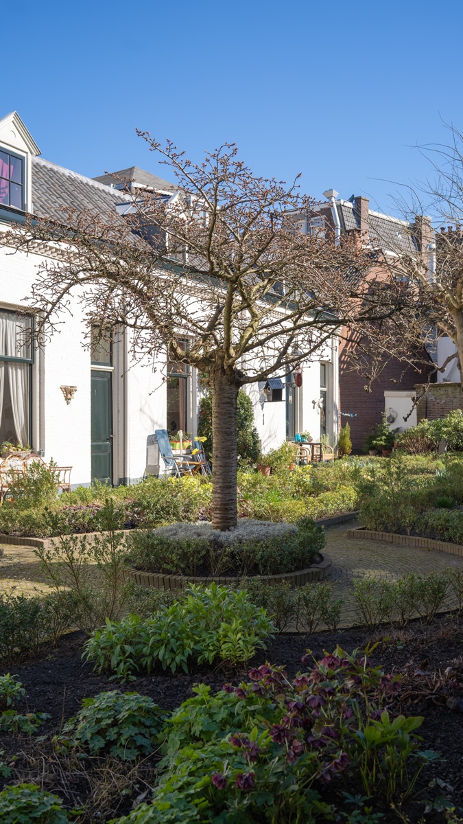 almshouse courtyard Den Groenen Thuijn