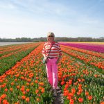 Colour blocking in a tulip field