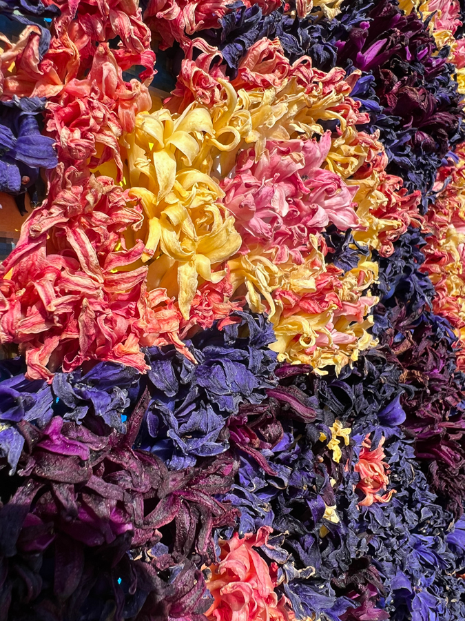 close-up of the flowers used for the portrait
