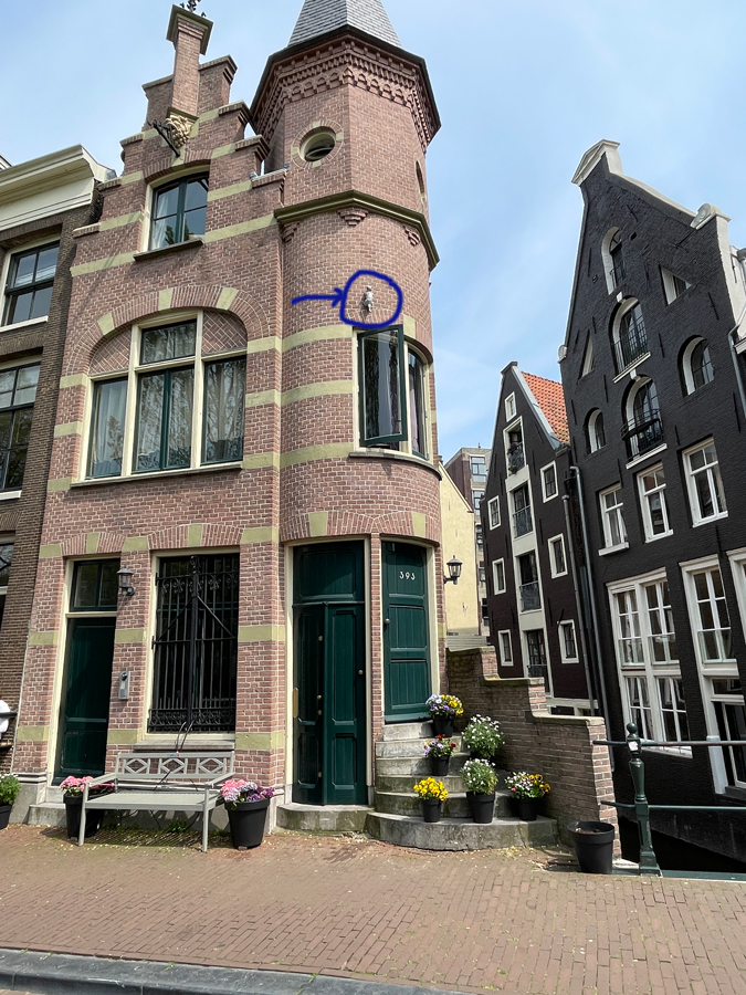 House in Amsterdam with cat