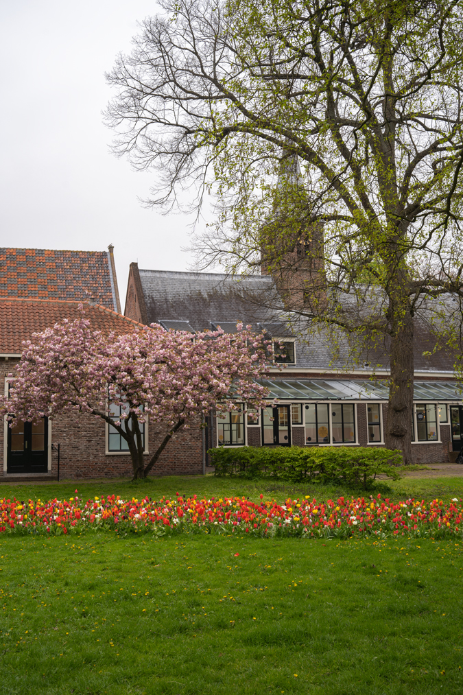 Park in Haarlem
