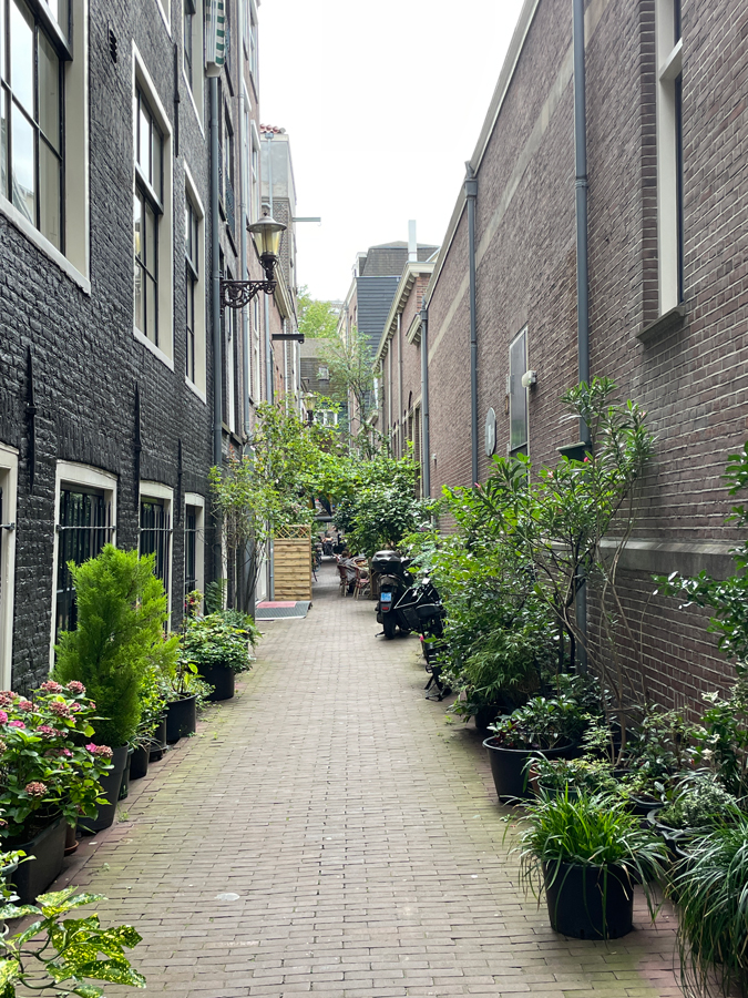 Alley in Amsterdam 2