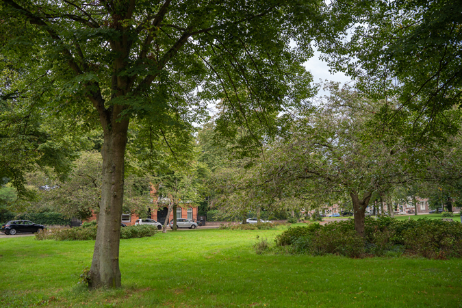Park in Haarlem