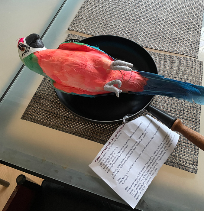 Parrot in the frying pan