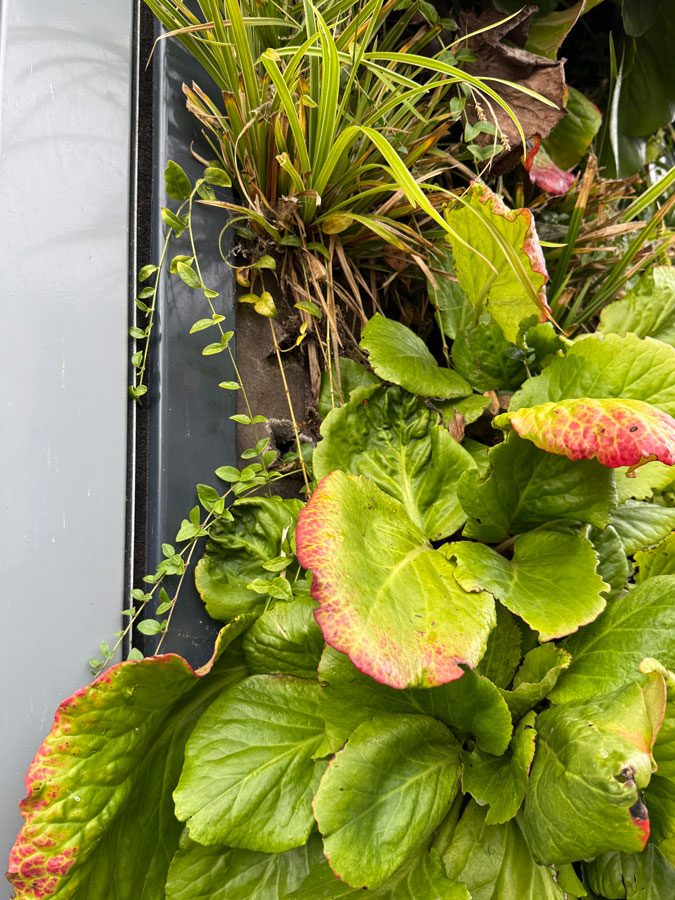 Delft modern architecture