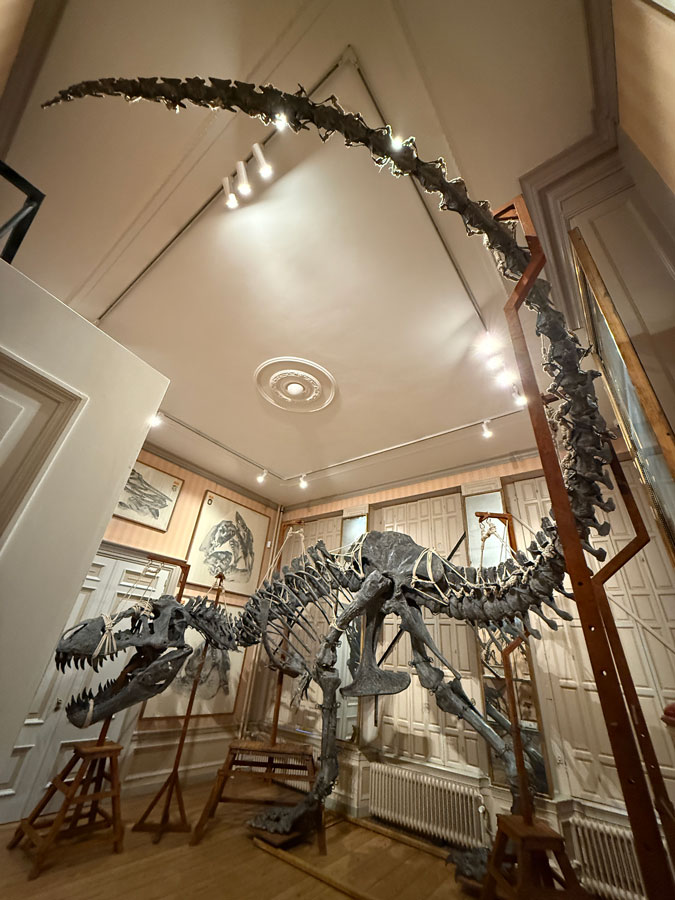 Amazing at Art Zoo Museum Amsterdam