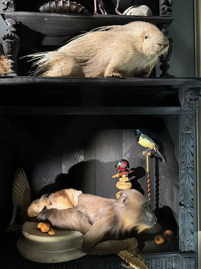 Baroque taxidermy art at Art Zoo Museum Amsterdam