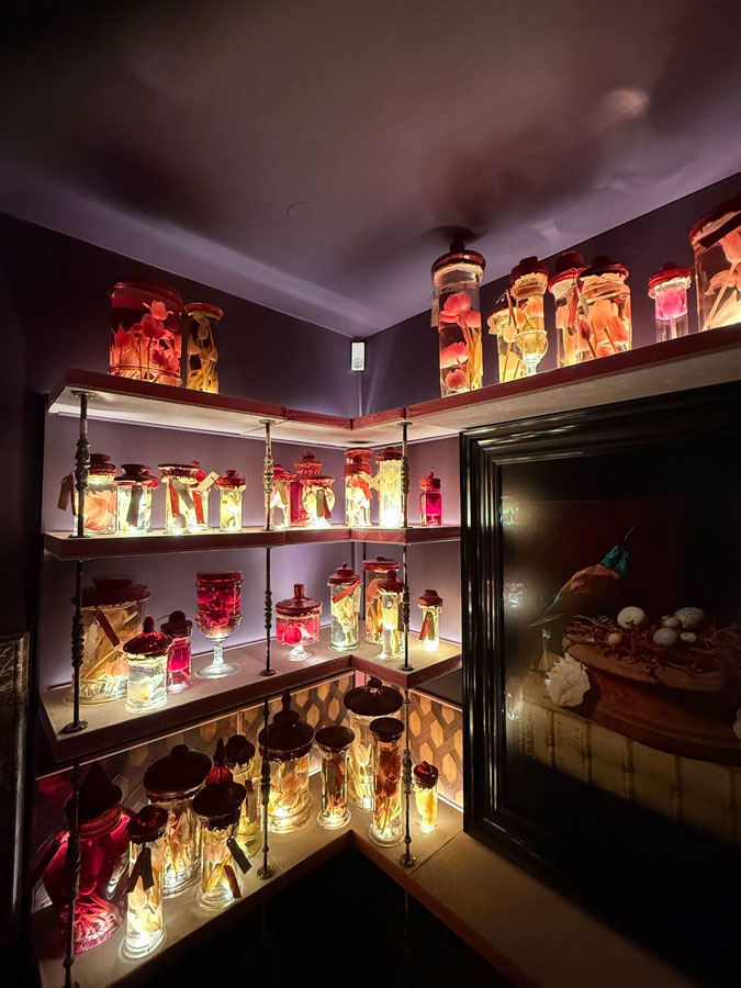 Tulips in formaldehyde at Art Zoo Museum Amsterdam