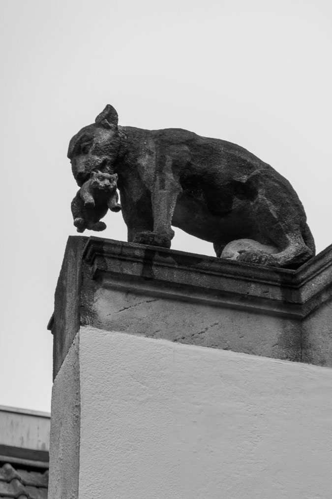 Photo assignment Black and white Panther on a roof