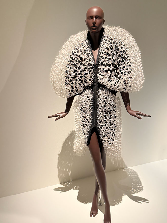 Dress by Iris van Herpen