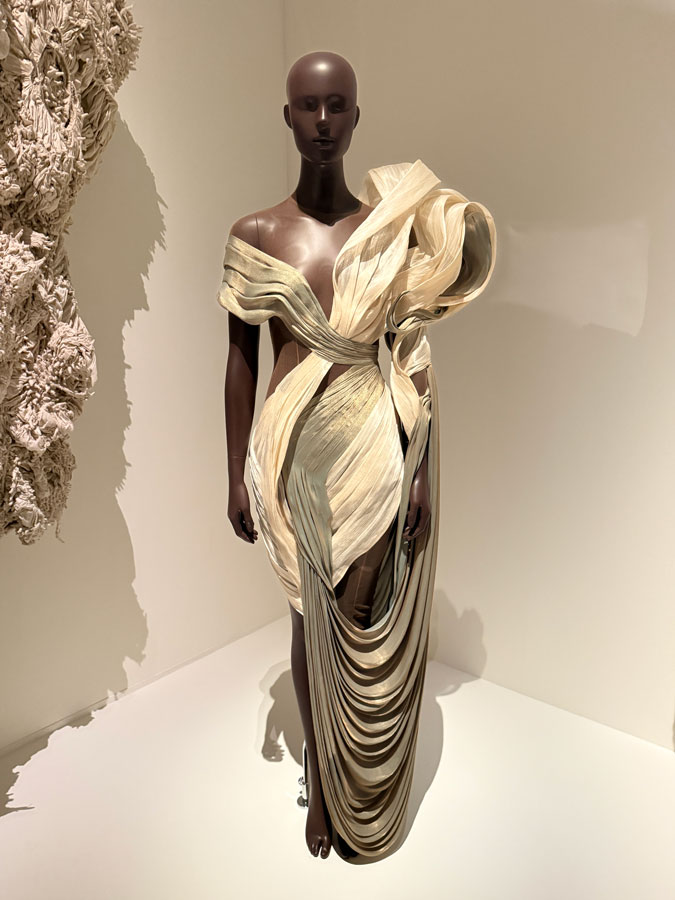 Dress by Iris van Herpen