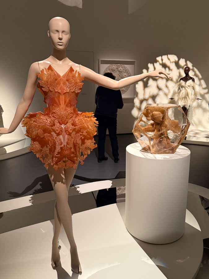 Dress by Iris van Herpen