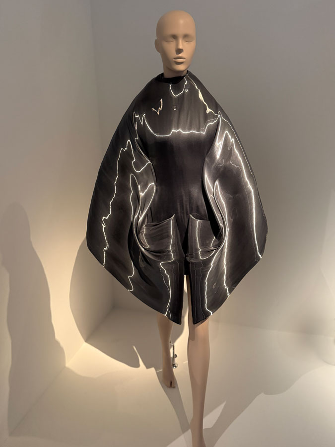 Dress by Iris van Herpen