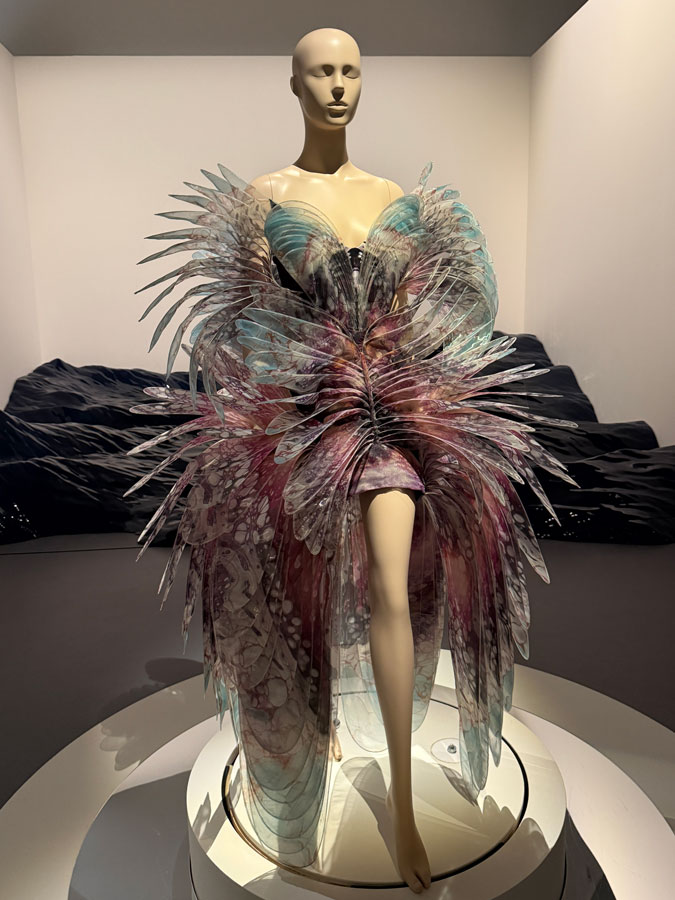 Dress by Iris van Herpen