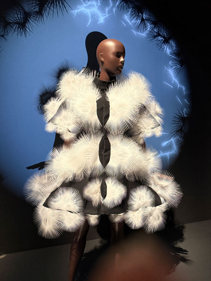 Iris van Herpen design