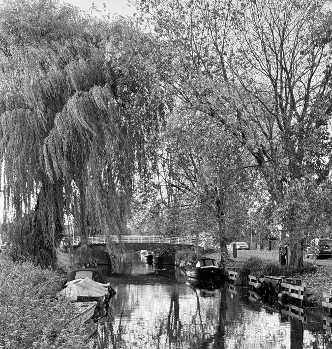 Photo Assignment black and white