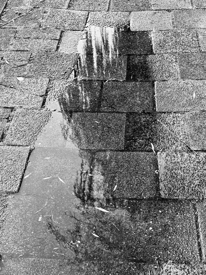 Photo Assignment black and white