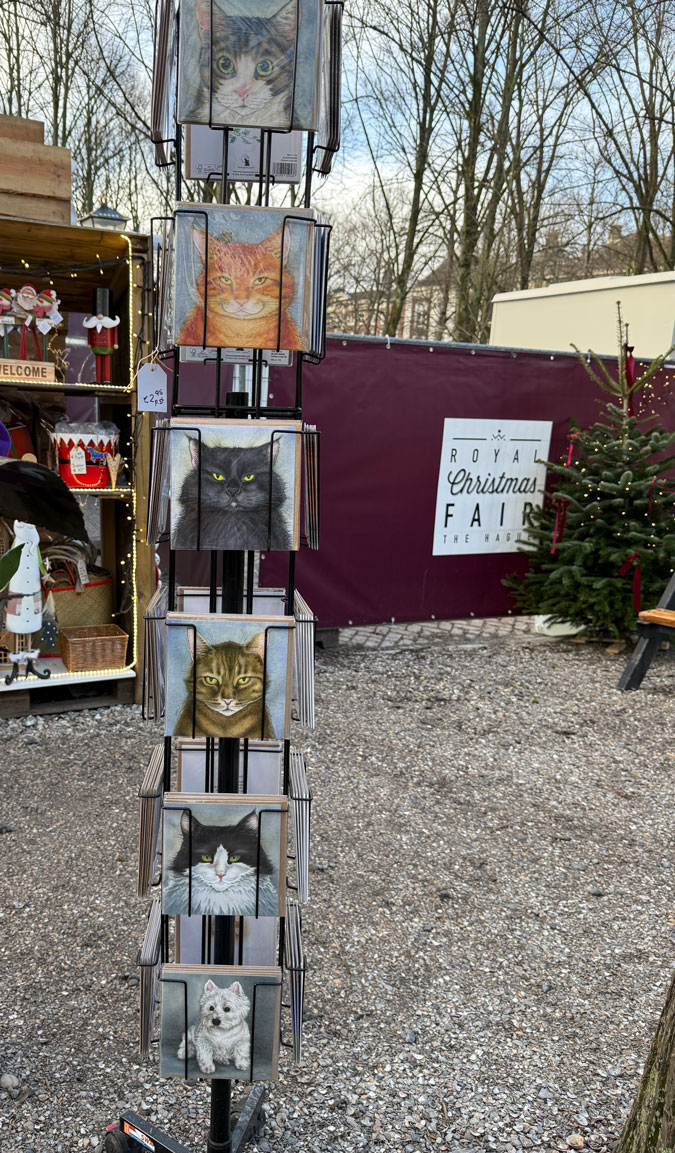 Postcard of cats and one dog