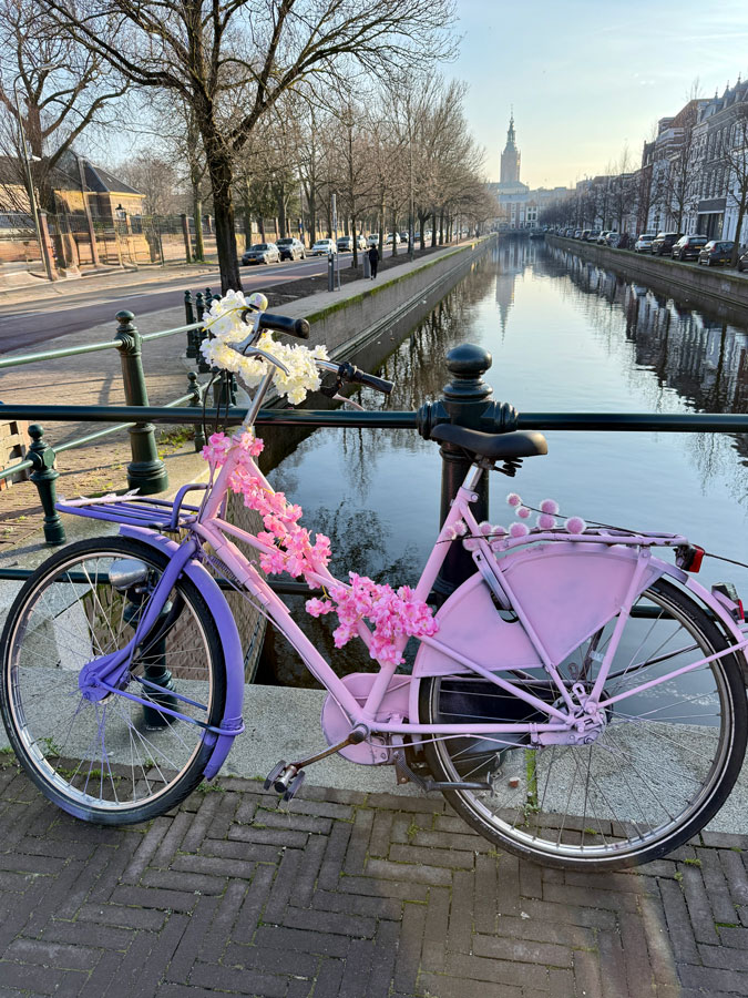 Purple and pink decorated bicycle