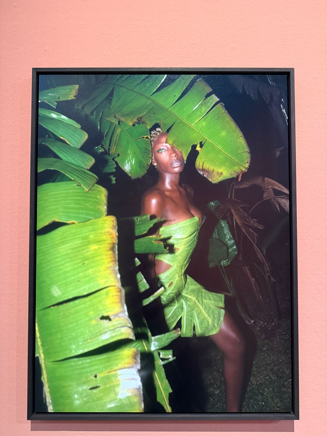 Cobra Museum, art by Sheila Pinas