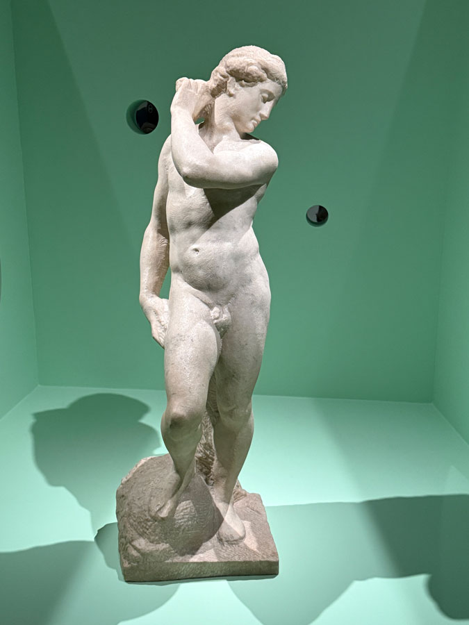Michelangelo's Apollo David