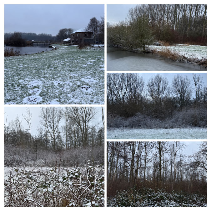 Photo assignment Same Same but Different, Snow in the park