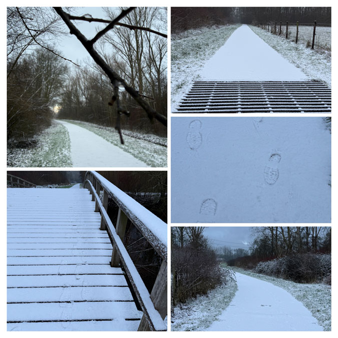 Photo assignment Same Same but Different, Snow in the park