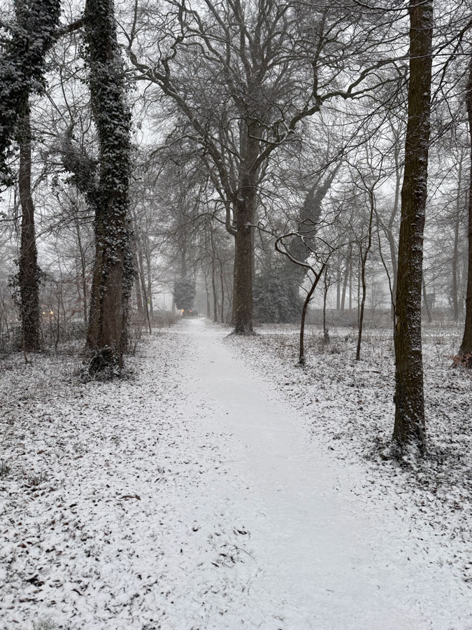 Snow in the park