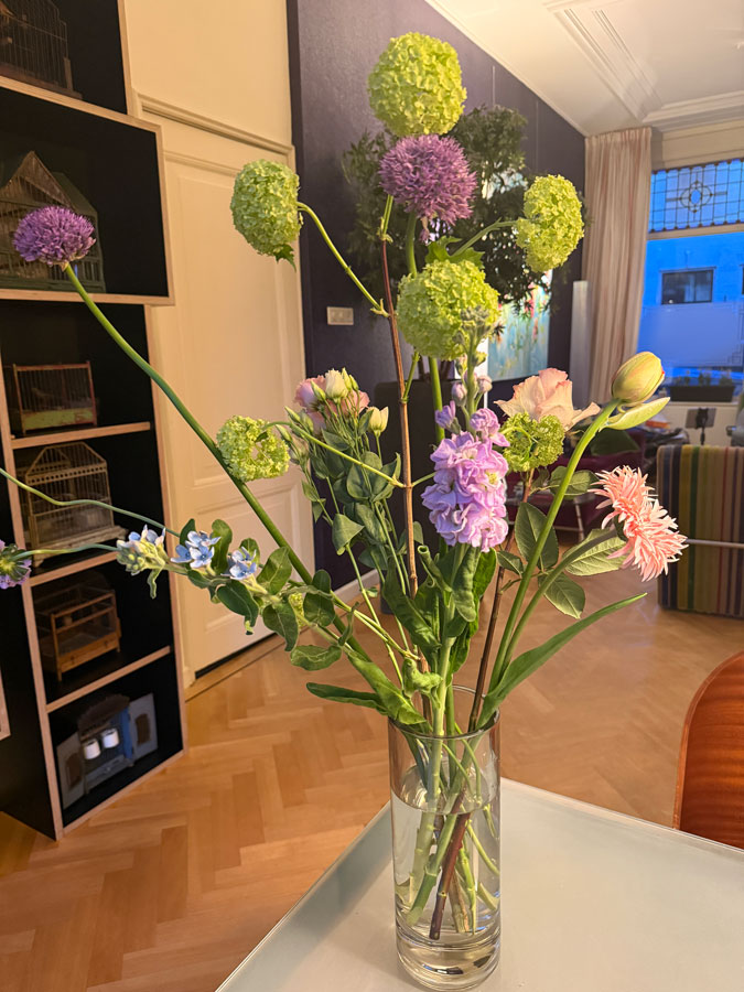 Flowers from our neighbour