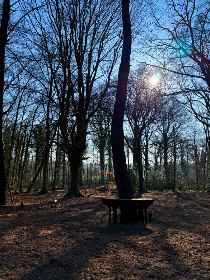 Park in the early March sun