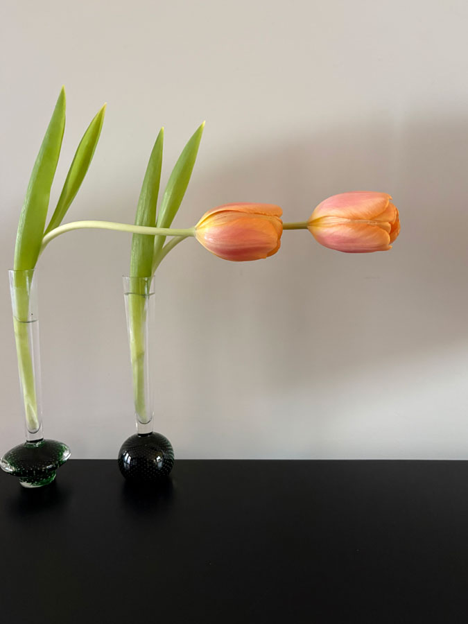 Tulips pointing to the right