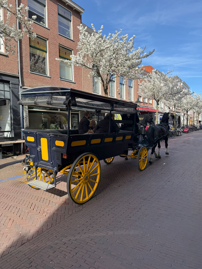 Horse and cart in Delft