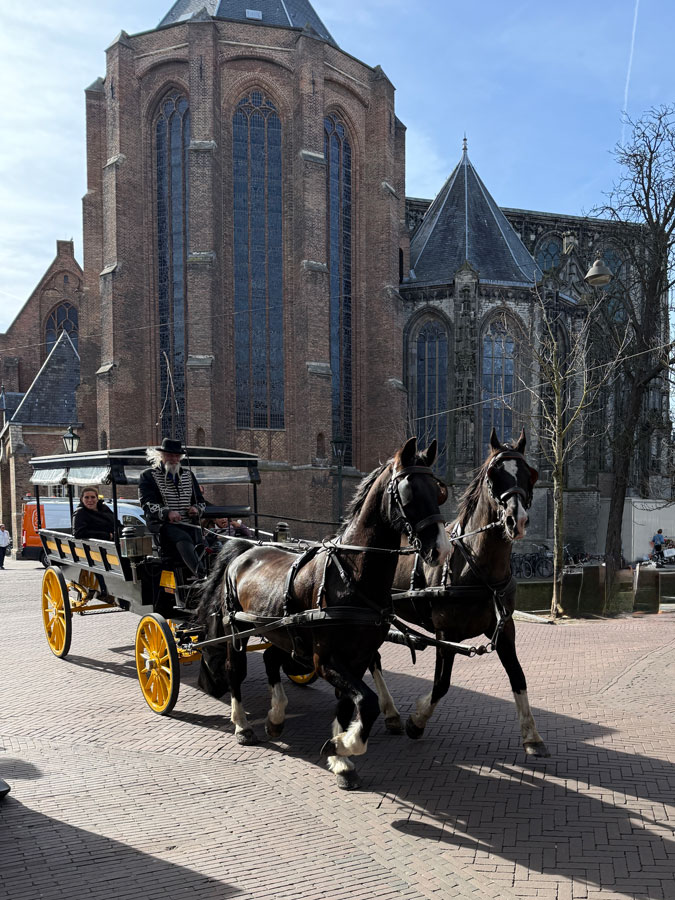 Horse and cart in Delft