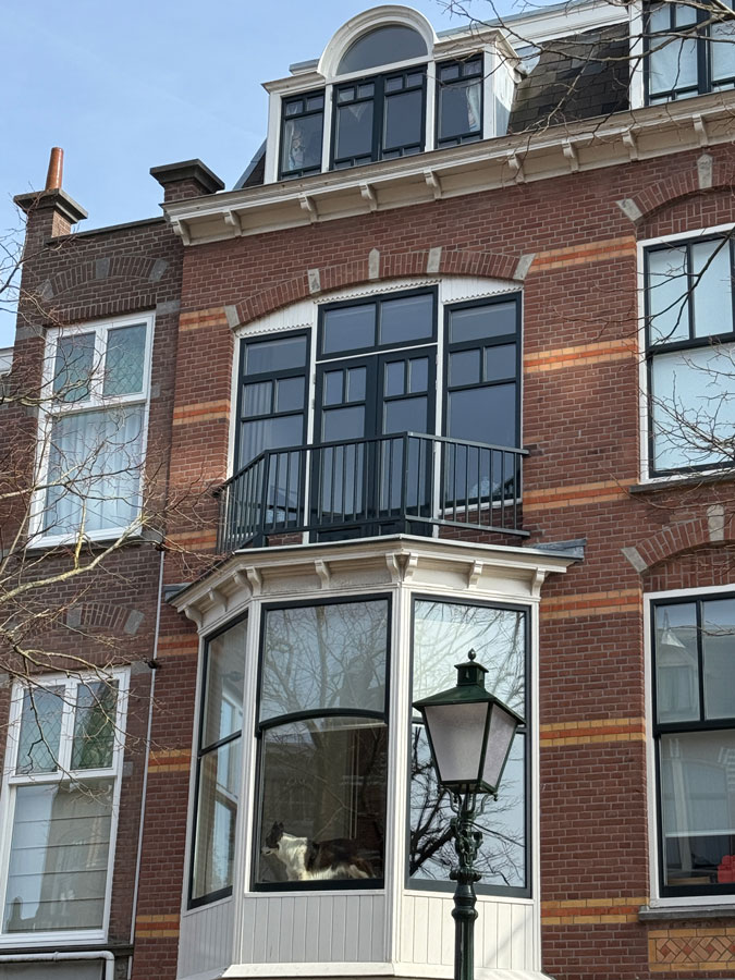 Beautiful building in The Hague with doggie in the window