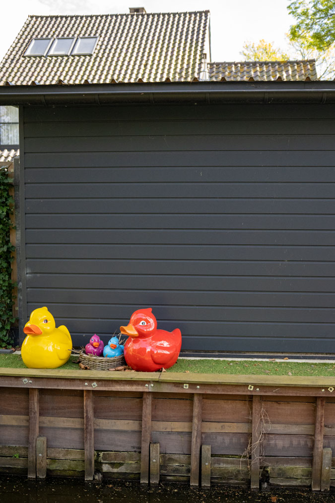 Duck duck