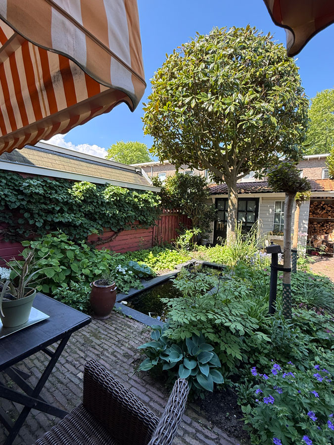 Our garden
