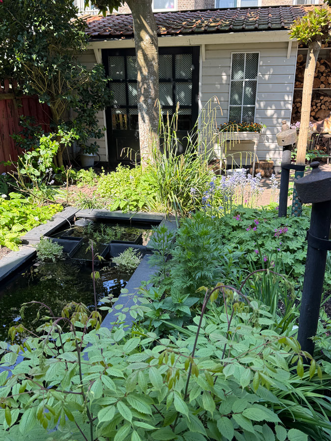 Our garden