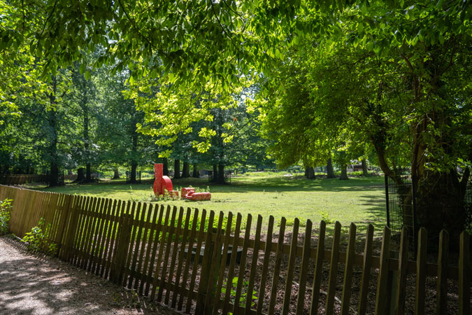 The park