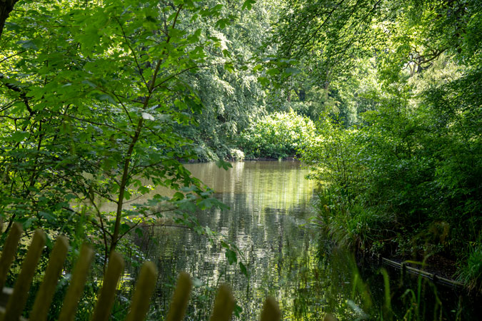 The park