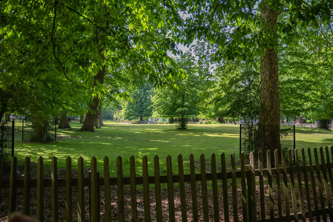 The park