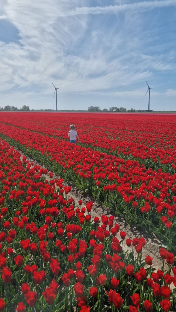 Zoë in a tulip field