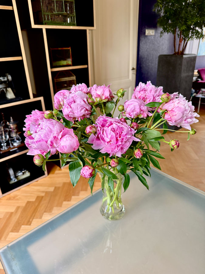 Pink peonies
