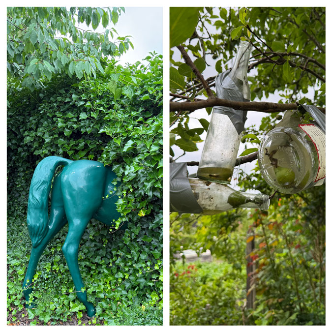 Horse in hedge and Poire Williams