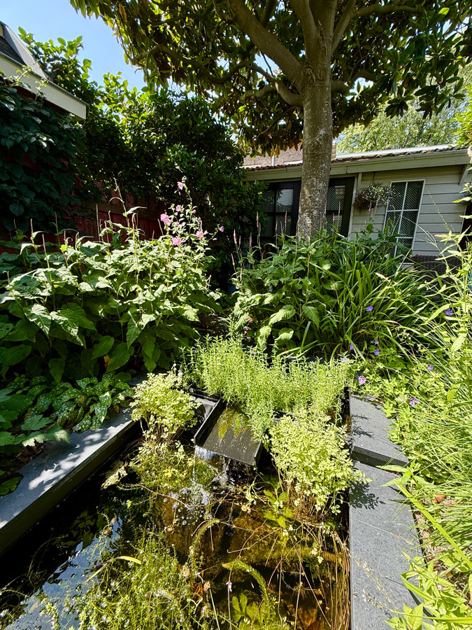 Garden 22nd of July 2026