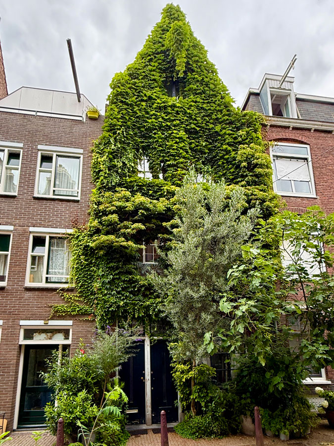 House in Amsterdam